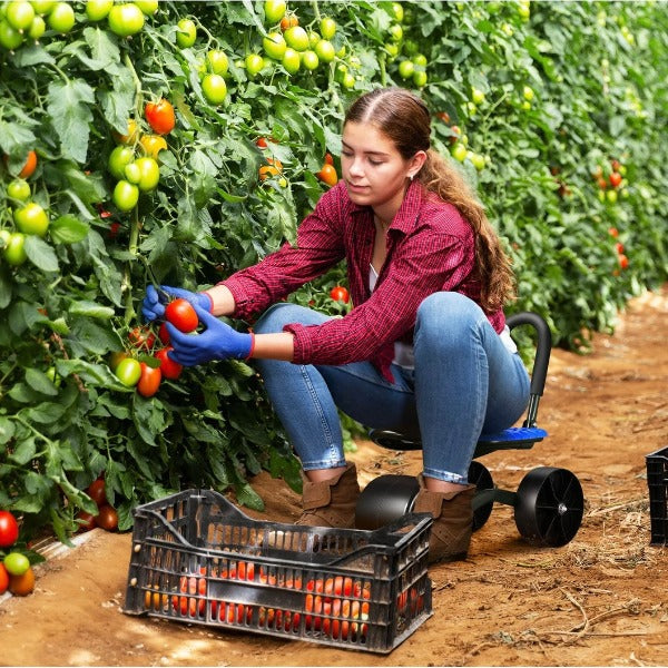 GrowGlide – Garden Comfort Without Back Pain!