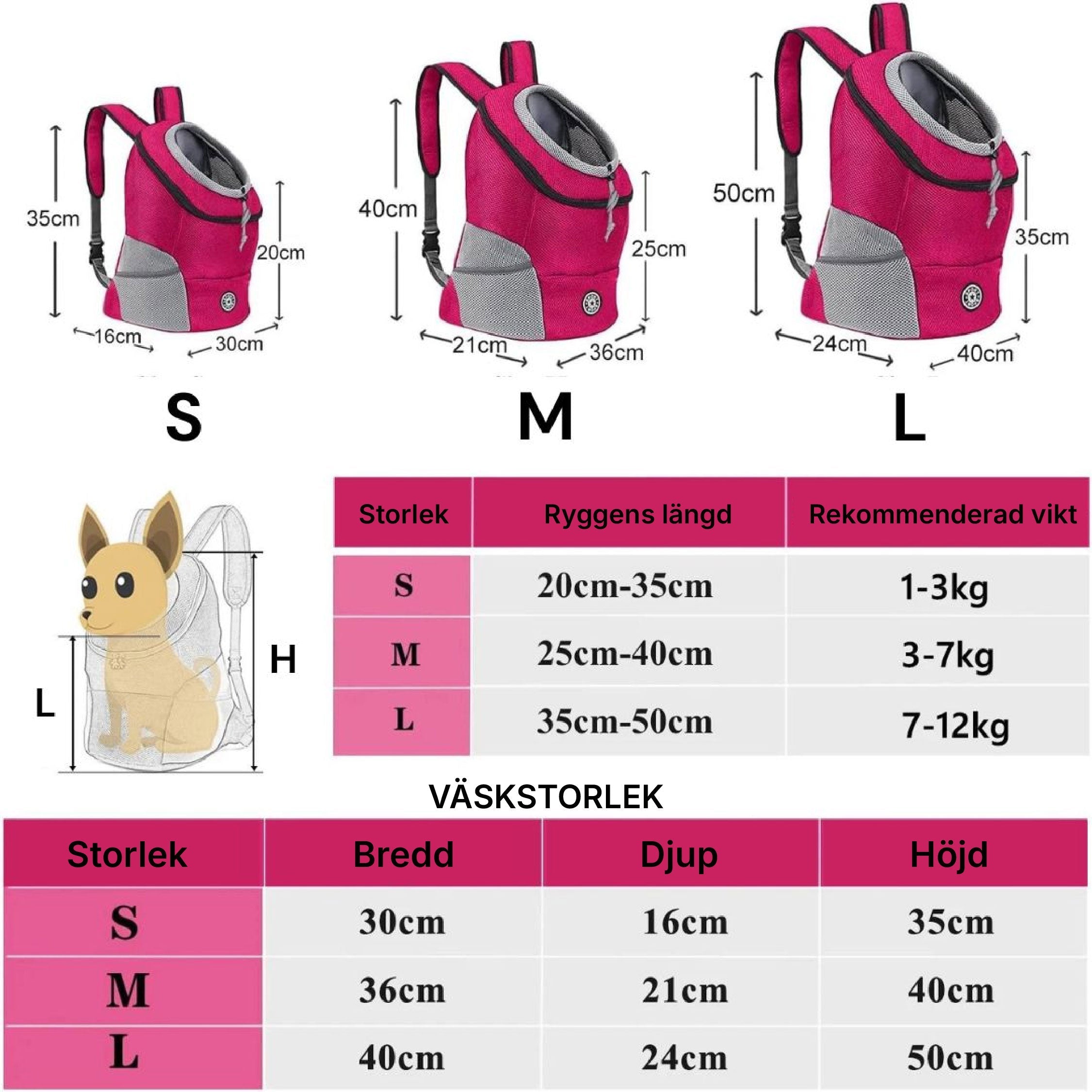PawCarry – Traveling Together Everywhere