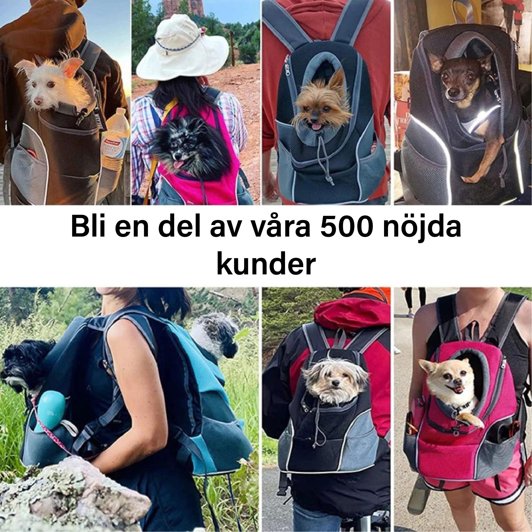 PawCarry – Traveling Together Everywhere