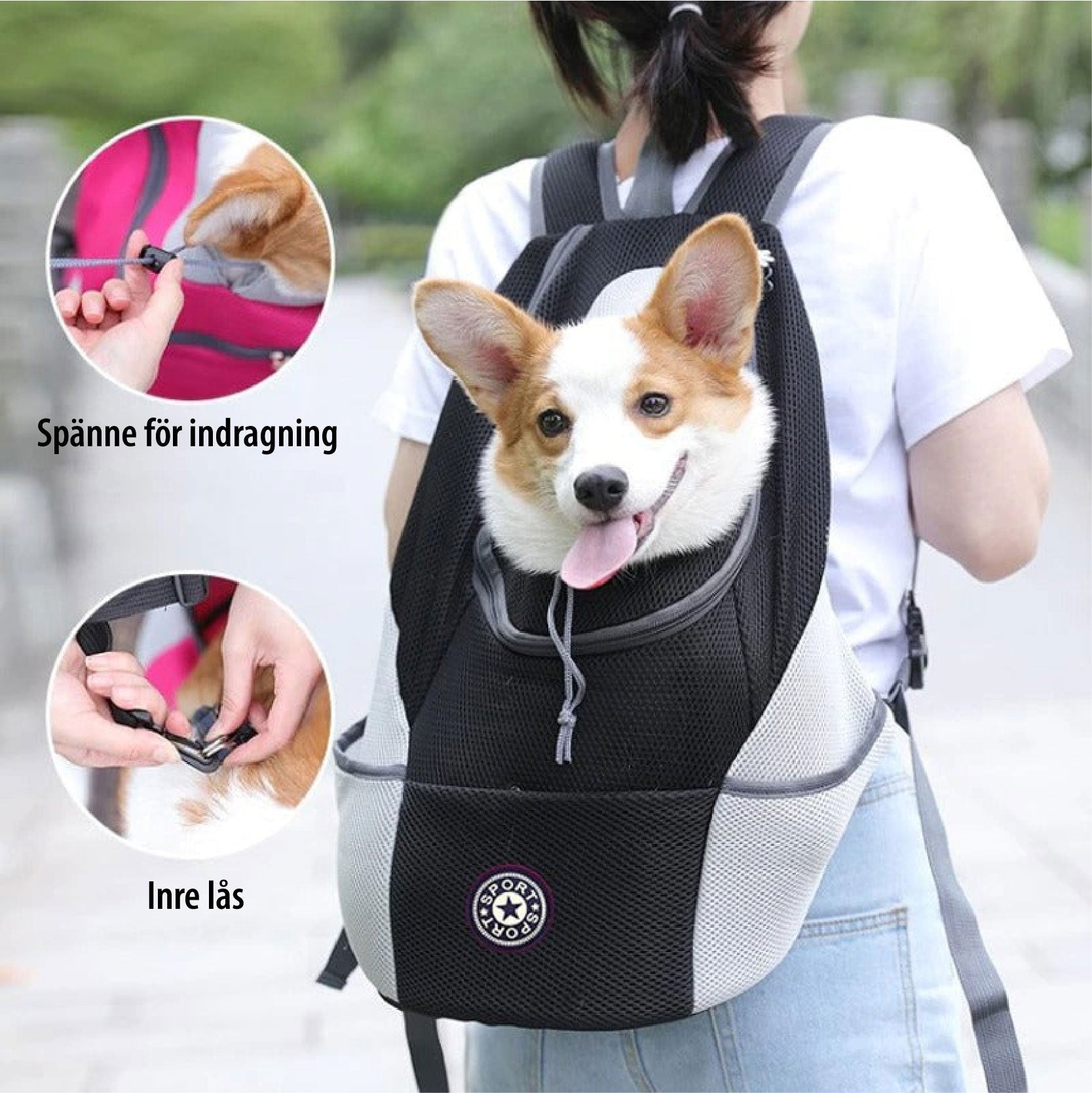 PawCarry – Traveling Together Everywhere