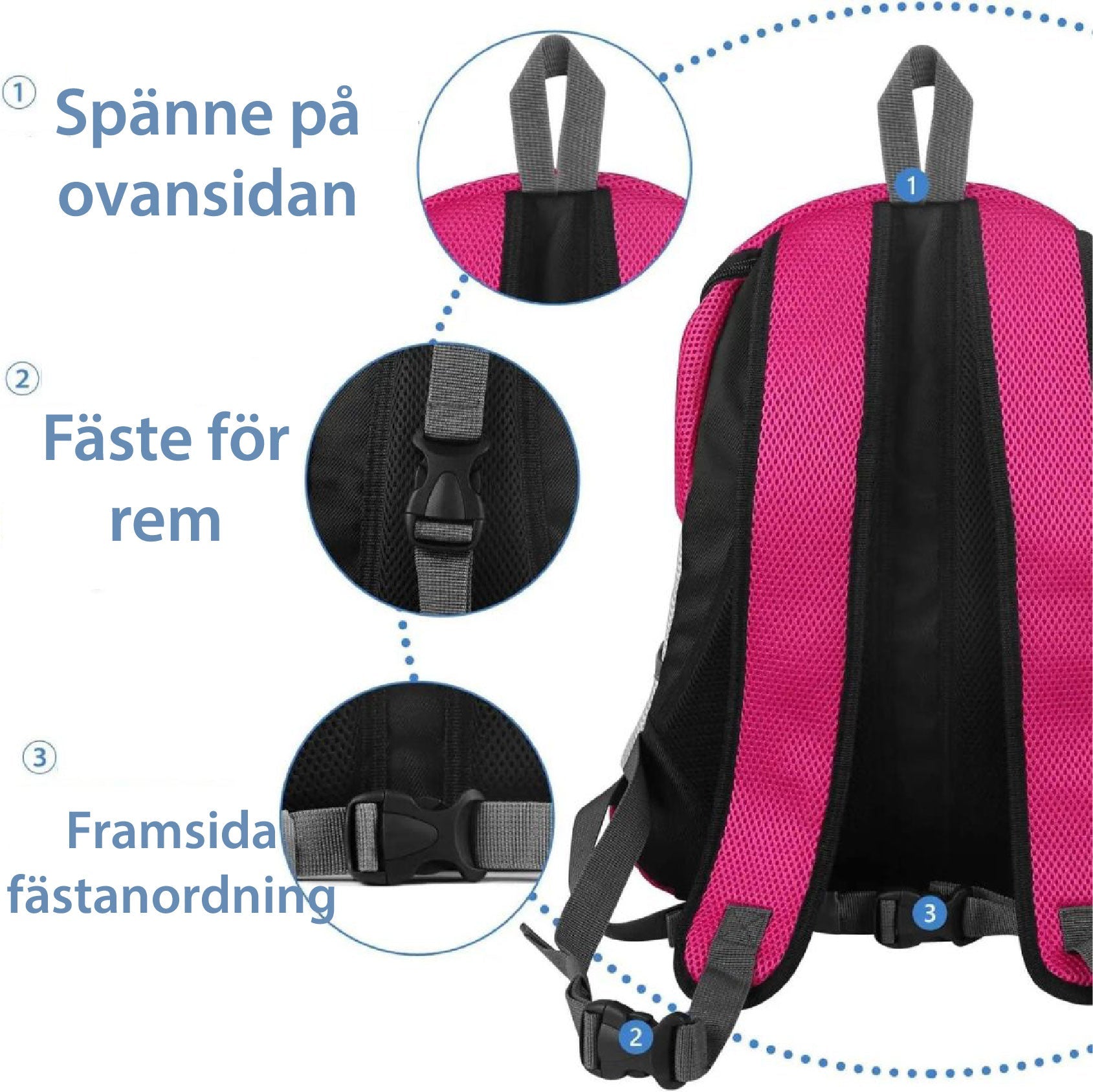 PawCarry – Traveling Together Everywhere