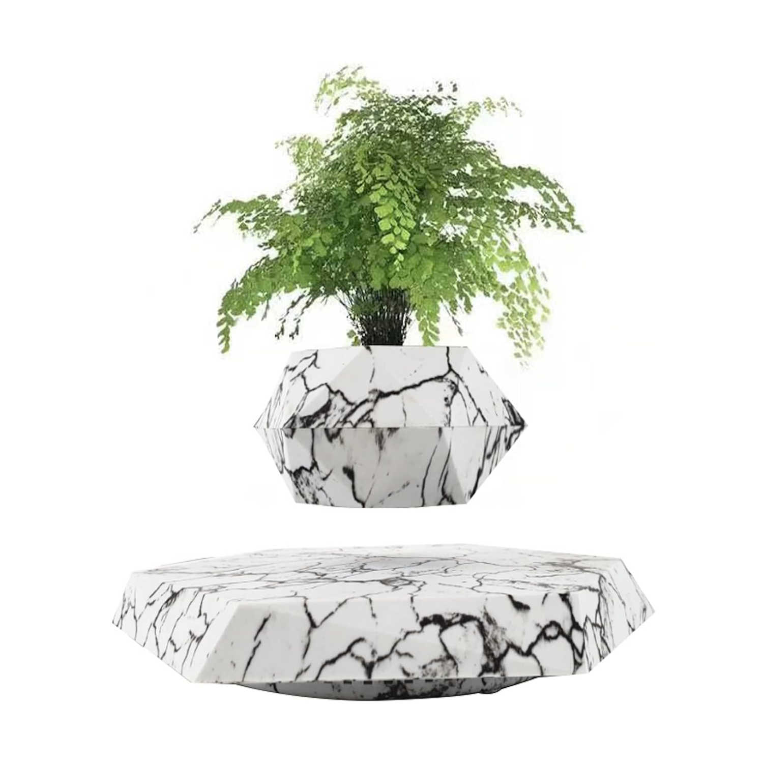 Plantlev – The Floating Plant That Attracts All Eyes!