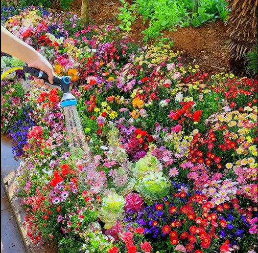 BloomMix – A Colorful Flower Variety All Year Round