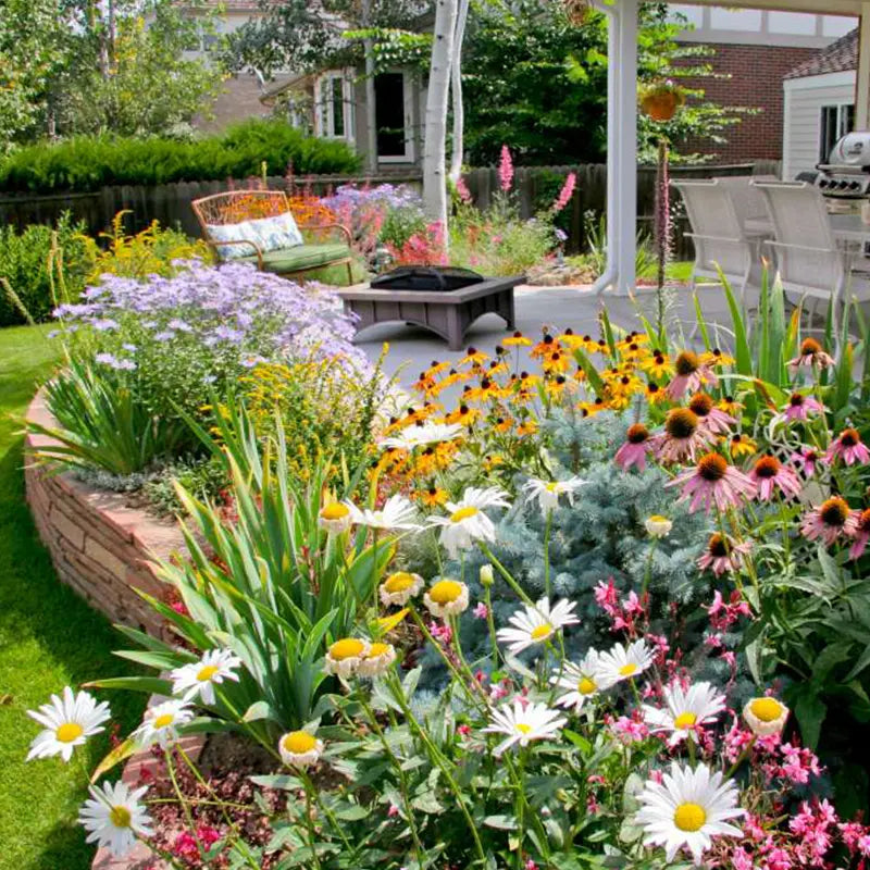 BloomMix – A Colorful Flower Variety All Year Round