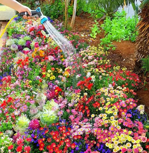 BloomMix – A Colorful Flower Variety All Year Round