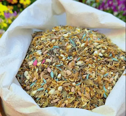 BloomMix – A Colorful Flower Variety All Year Round