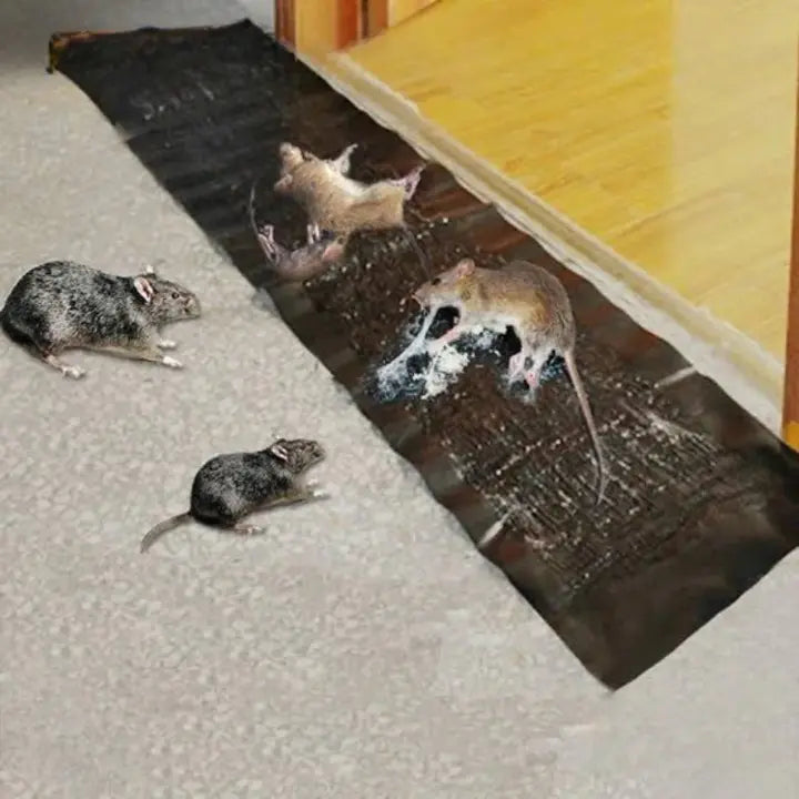 RatTrap – Non-Toxic Sticky Trap Against Pests
