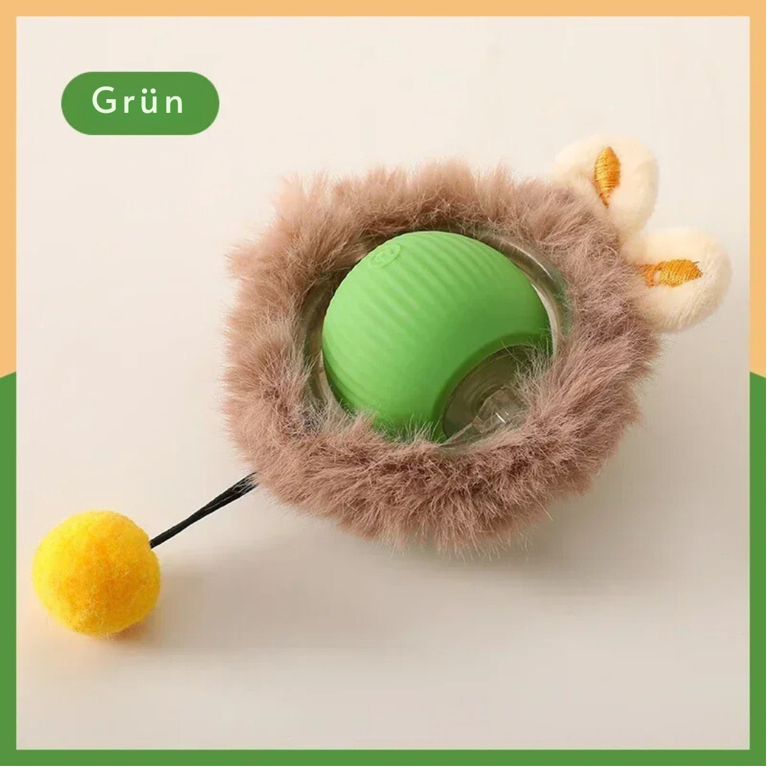 PawRoller – For Happy, Balanced Dogs!