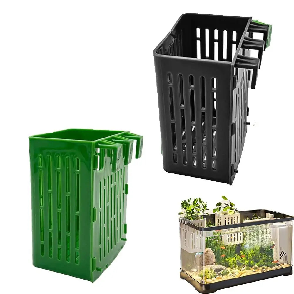 1+1 FREE | TankBloom – Natural flair for your aquarium!