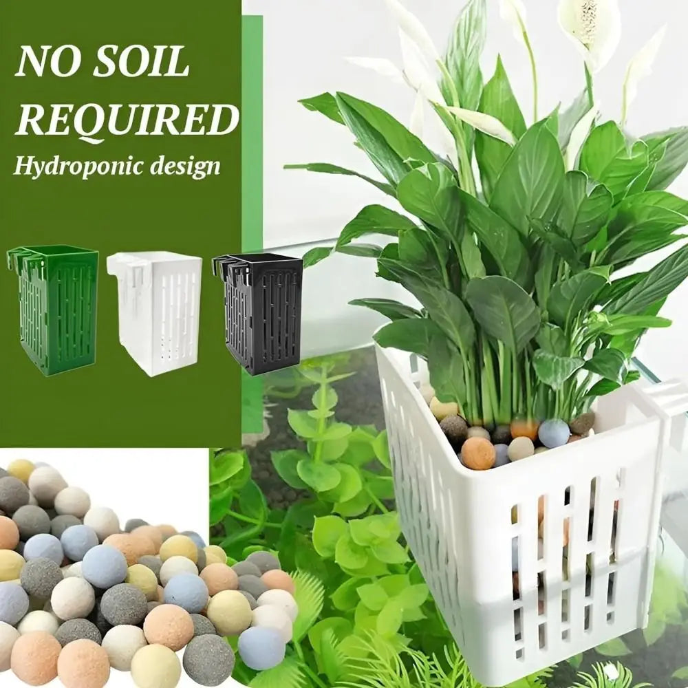 1+1 FREE | TankBloom – Natural flair for your aquarium!