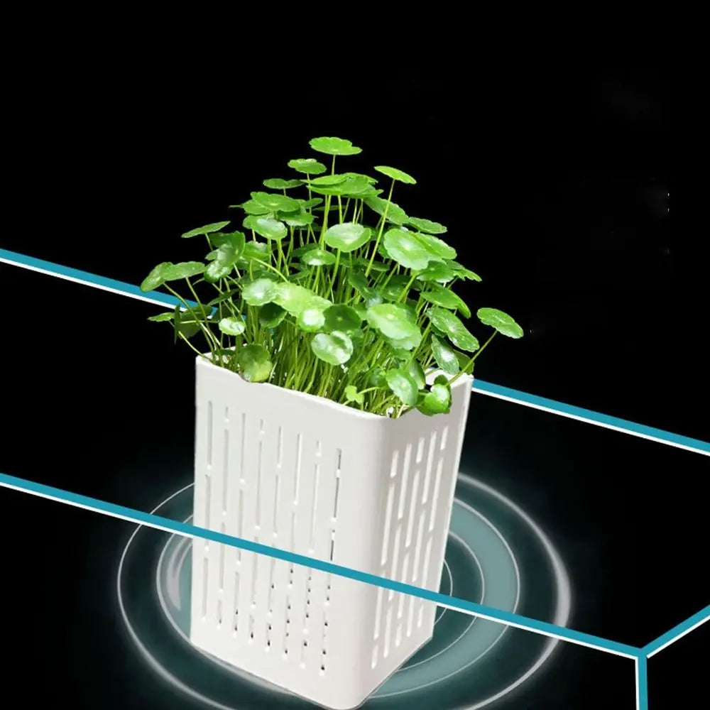 1+1 FREE | TankBloom – Natural flair for your aquarium!