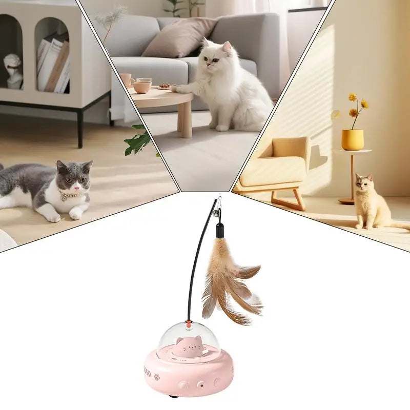 CatRocket – Your cat hunts even when you’re not there!