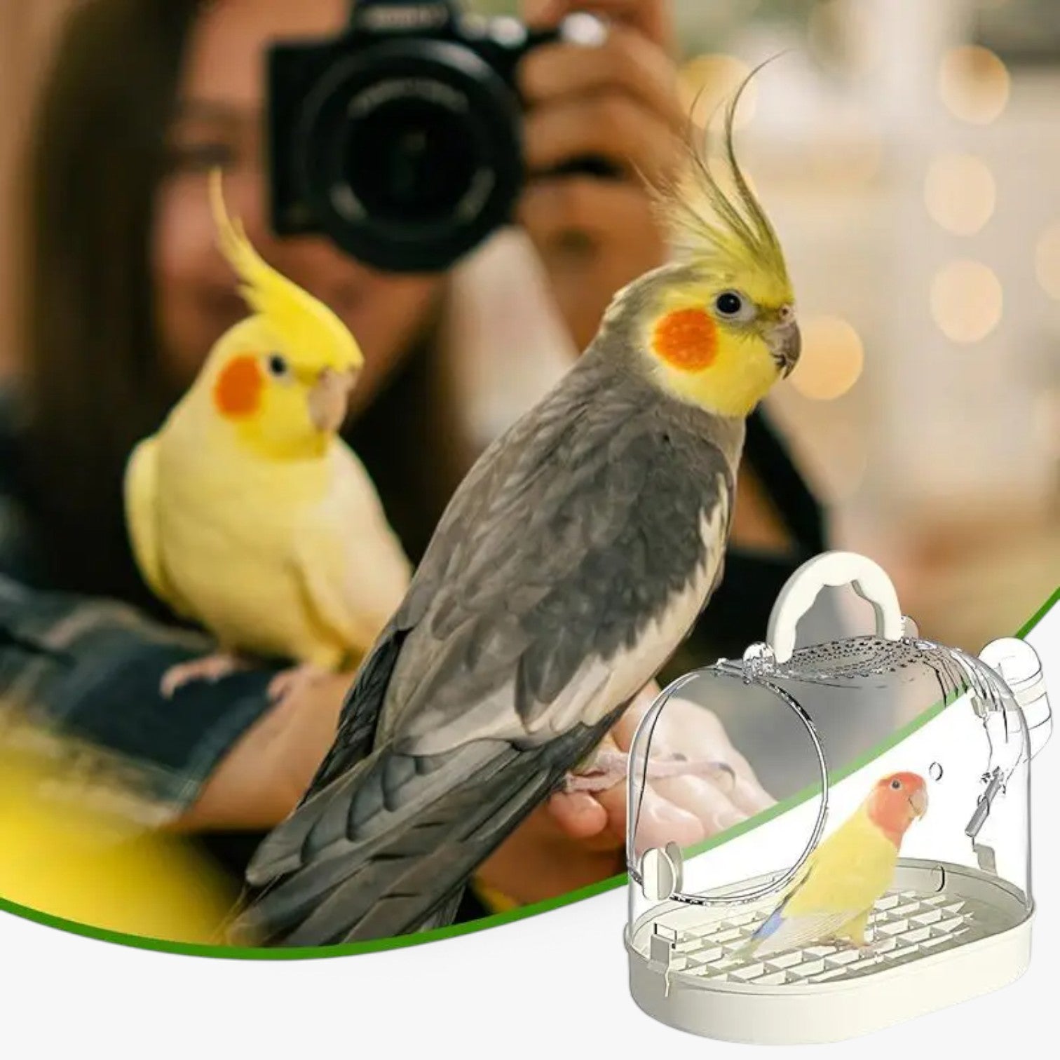 ElviTravel – The Comfort Cage for On-the-Go!