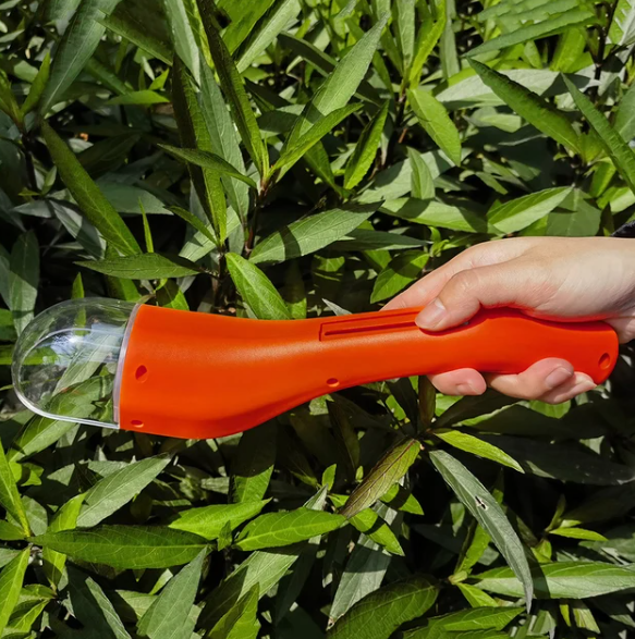 BugWhisper – Catch Insects Gently & Safely