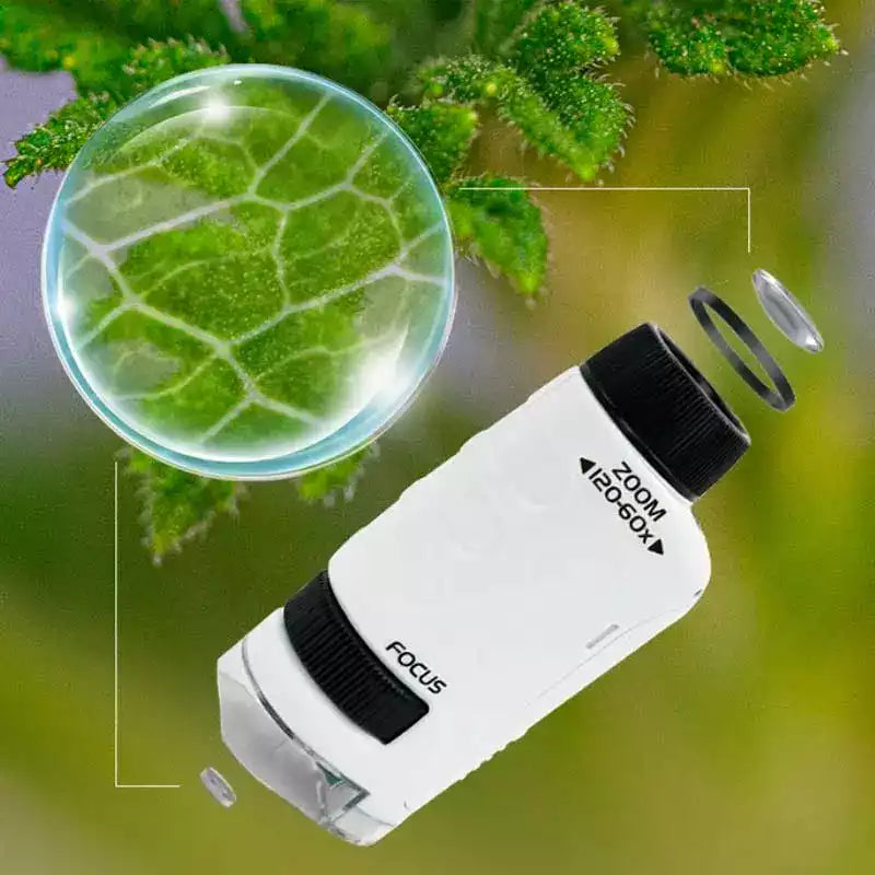 MicroQuest – The Pocket Microscope Fun for Little Explorers