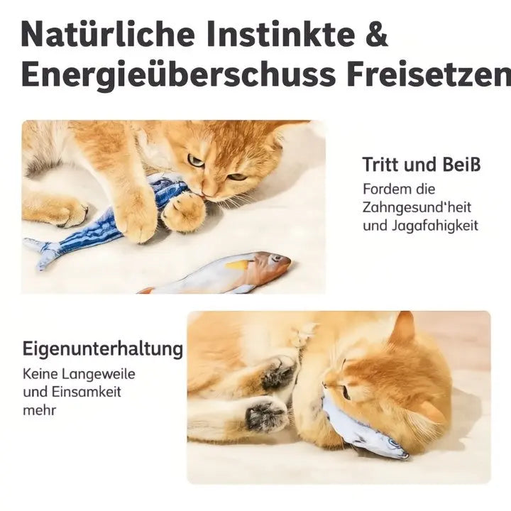 PurrMotion – The Fish That Really Wriggles