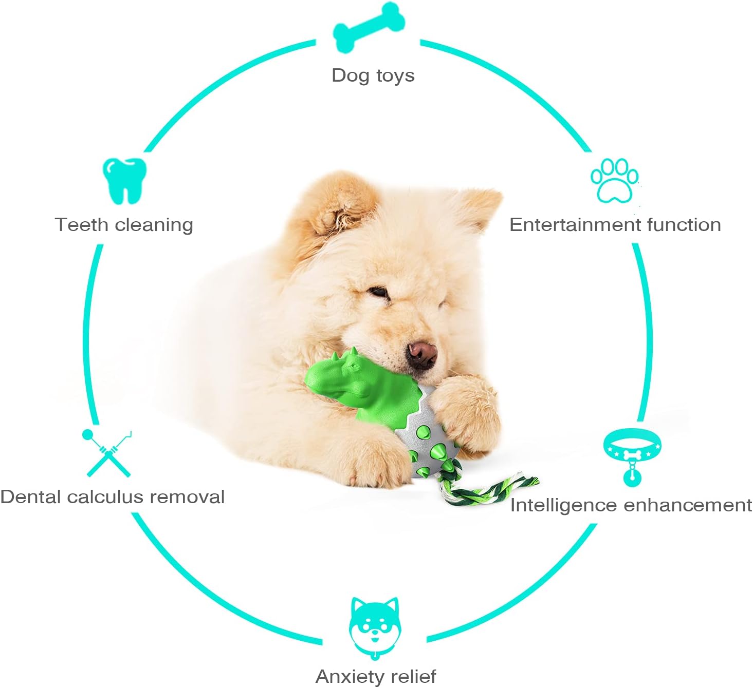 DinoEgg – The Indestructible Chew Egg for Healthy Dog Teeth