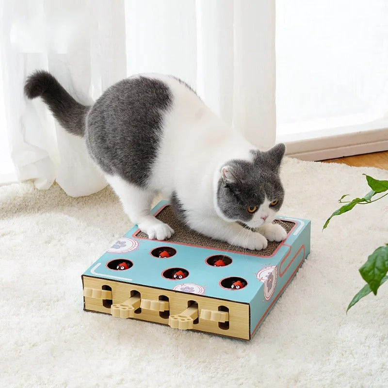 ScratchNest – Scratch, Play & Relax in One!