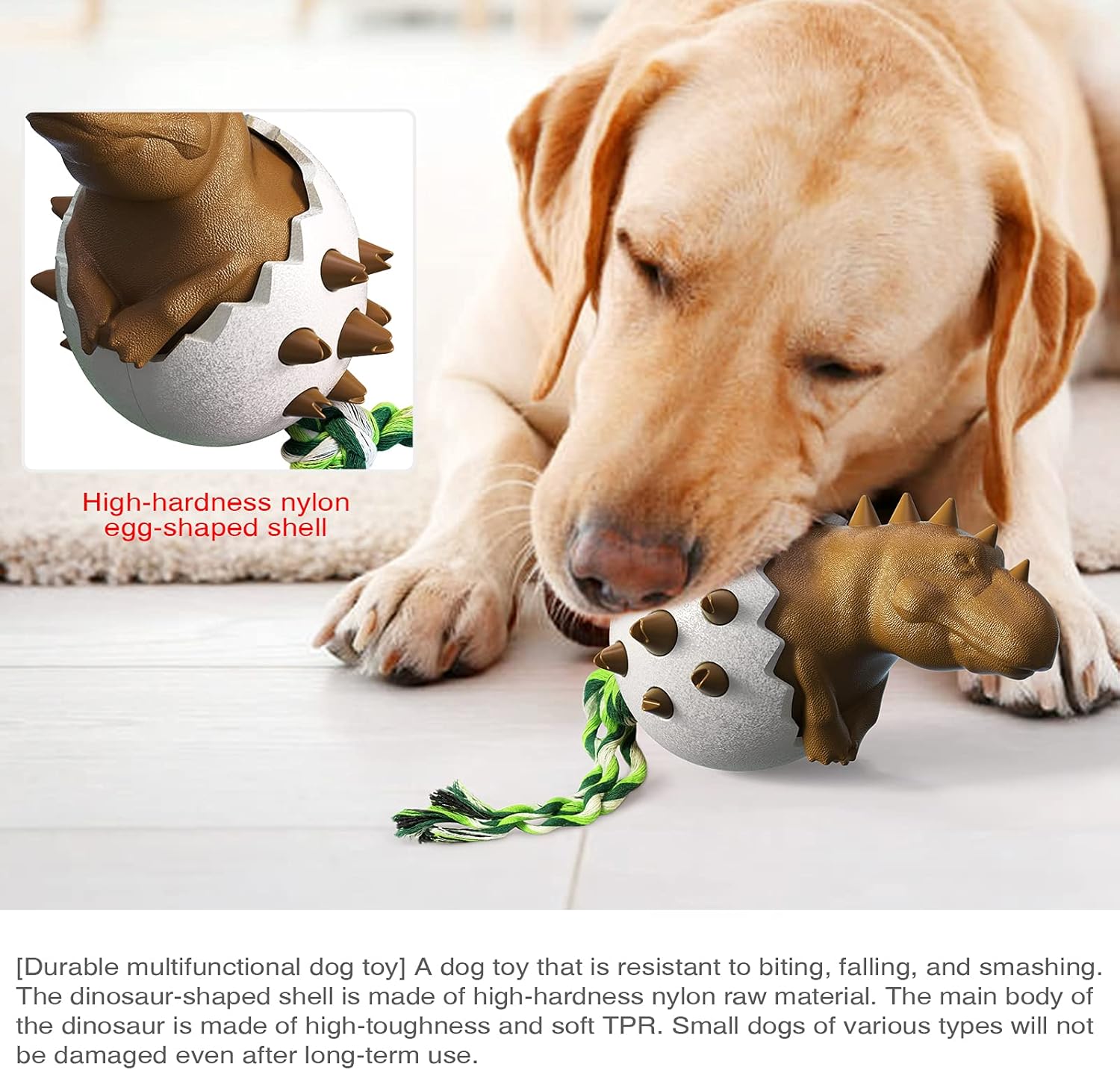 DinoEgg – The Indestructible Chew Egg for Healthy Dog Teeth