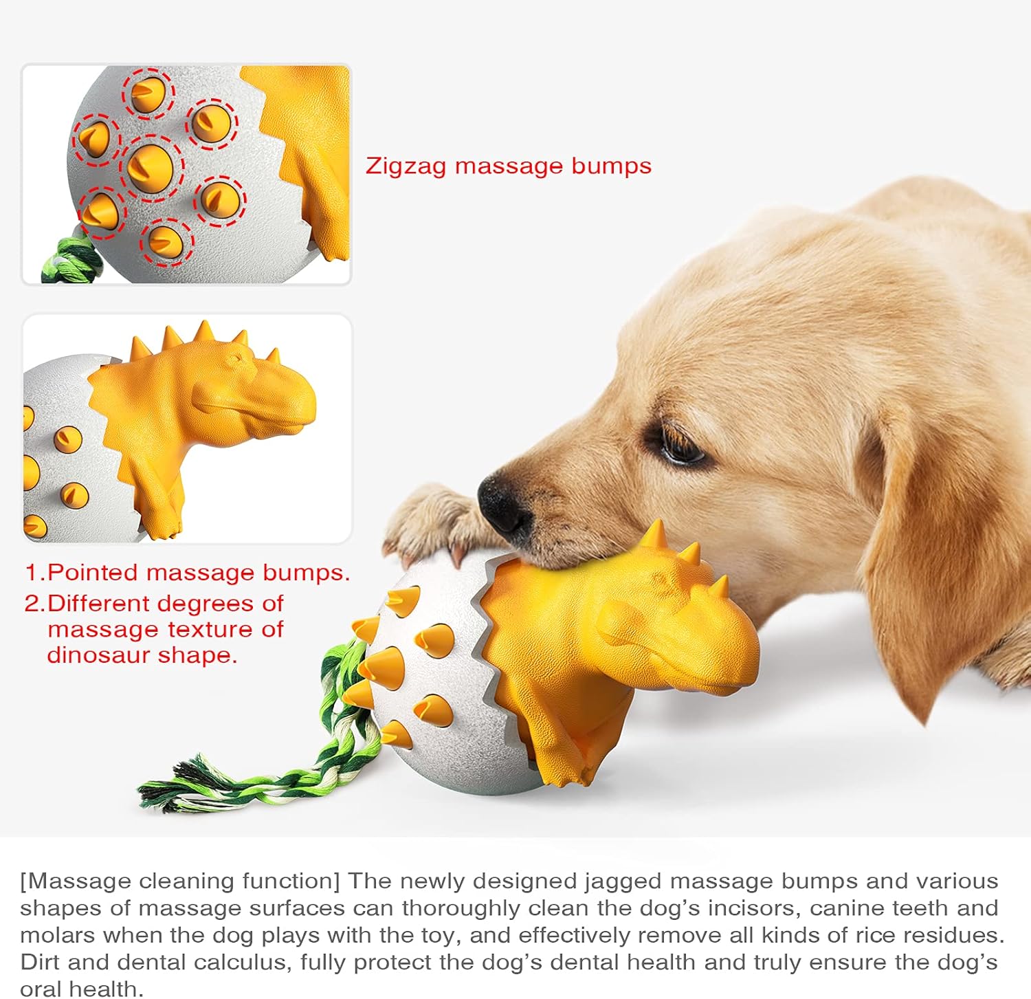 DinoEgg – The Indestructible Chew Egg for Healthy Dog Teeth