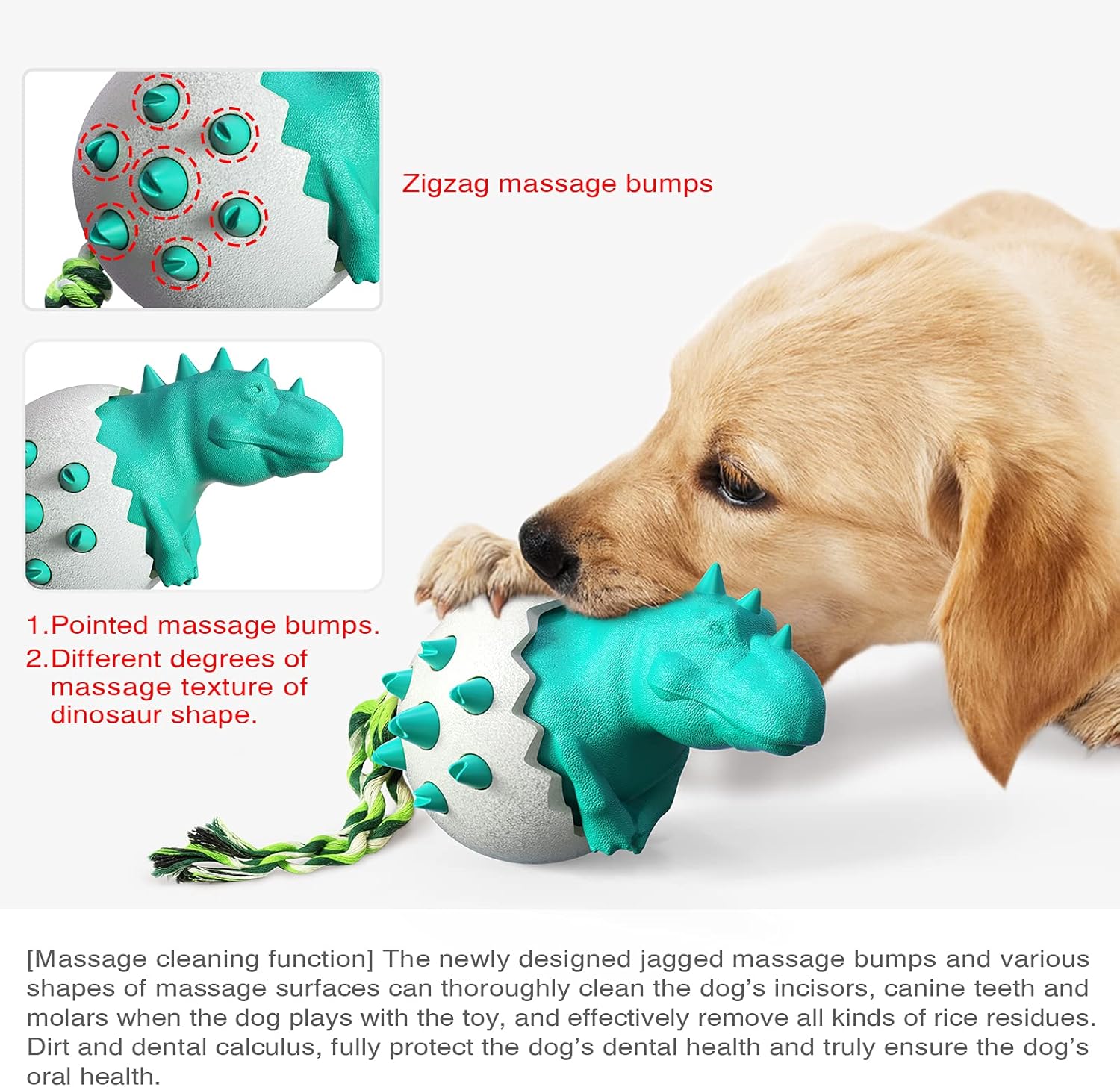 DinoEgg – The Indestructible Chew Egg for Healthy Dog Teeth