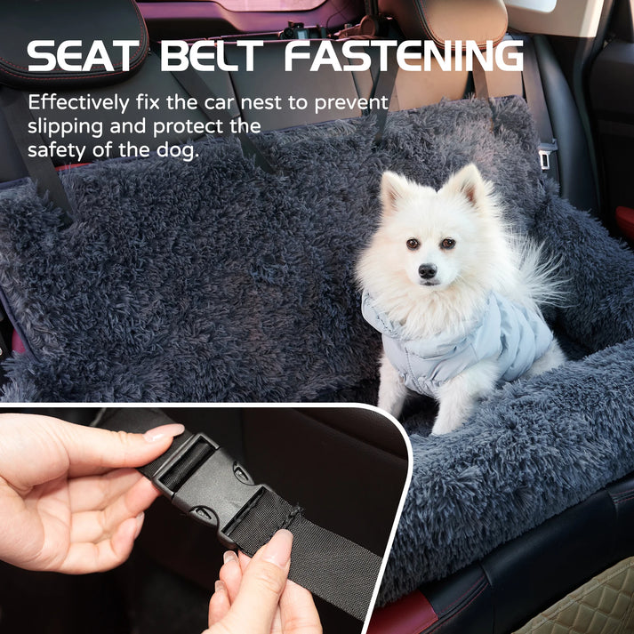 CarPaw – Travel Safely & Relaxed with Your Dog!