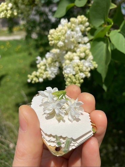 FloraKeep – Preserve Your Favorite Flowers Forever!