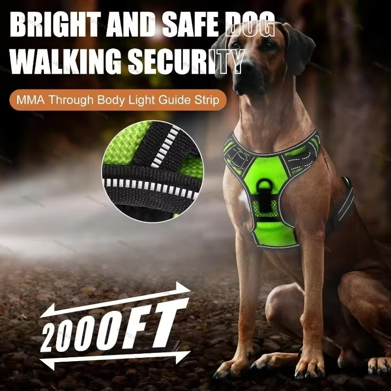 PawGuard – Safe & Stylish Dog Walking!