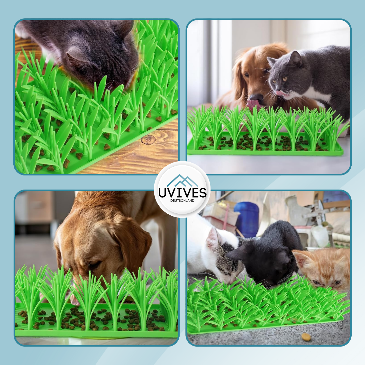 TidyPet – Healthy Meals & Smart Play Fun!