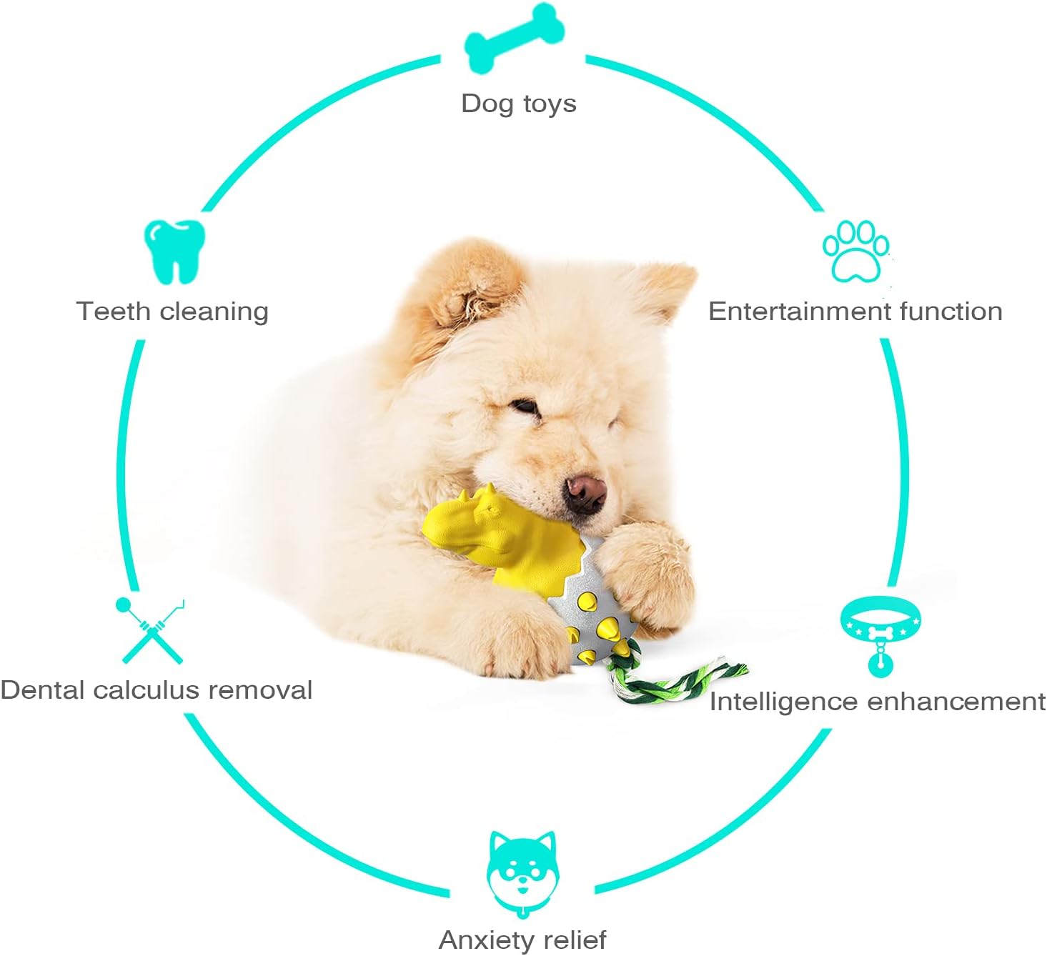 DinoEgg – The Indestructible Chew Egg for Healthy Dog Teeth