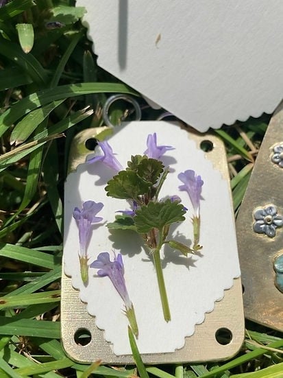 FloraKeep – Preserve Your Favorite Flowers Forever!