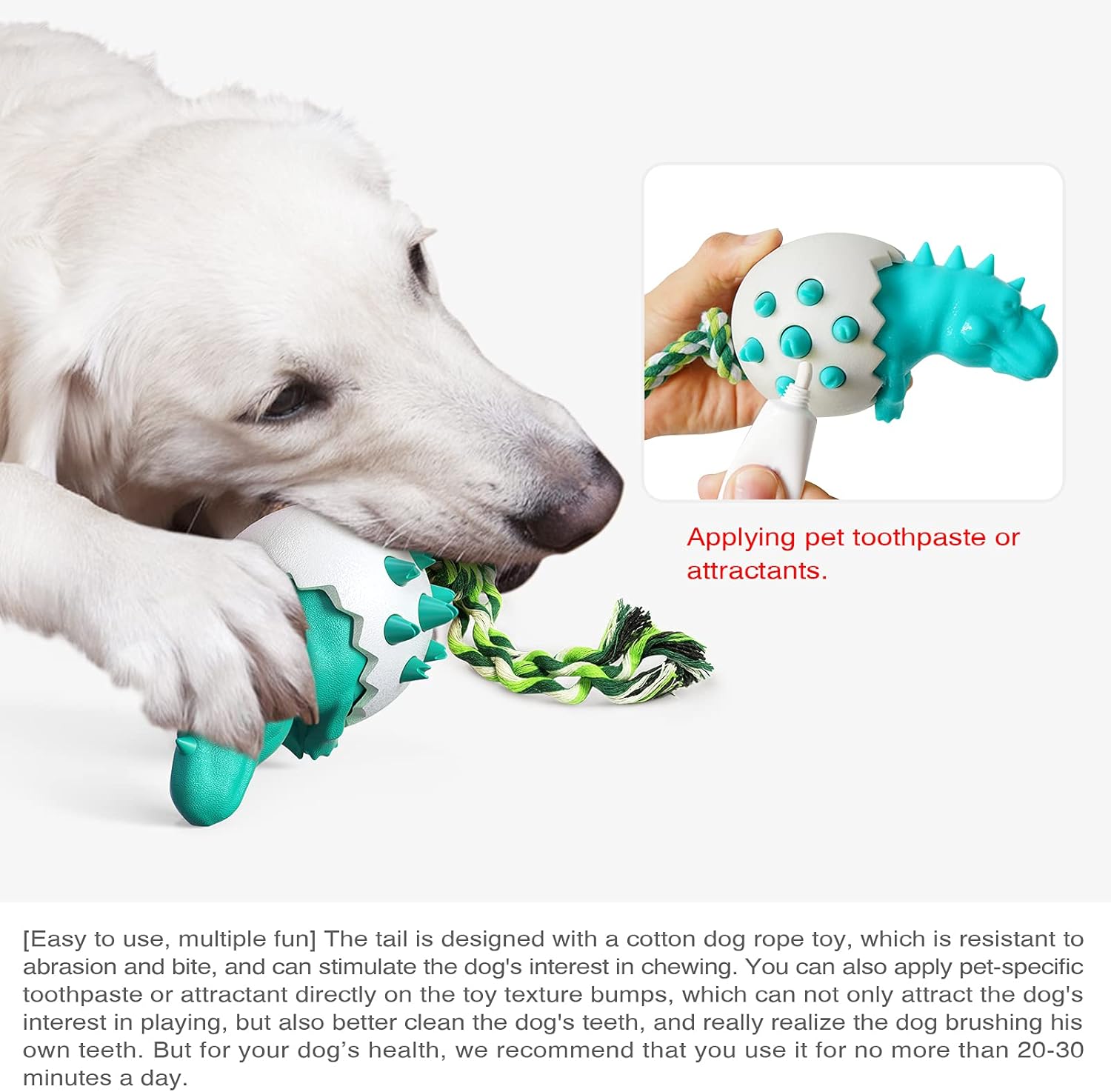 DinoEgg – The Indestructible Chew Egg for Healthy Dog Teeth