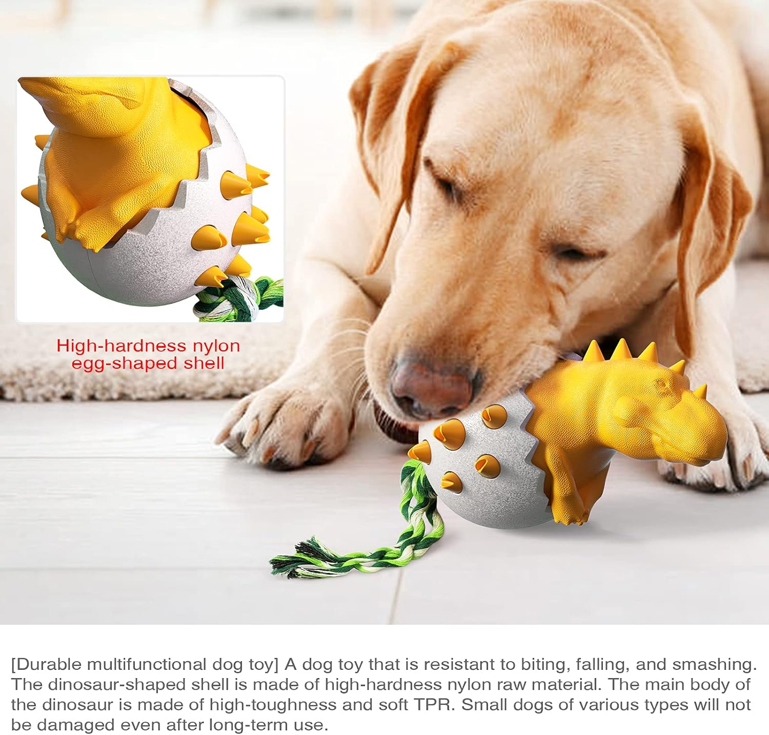 DinoEgg – The Indestructible Chew Egg for Healthy Dog Teeth