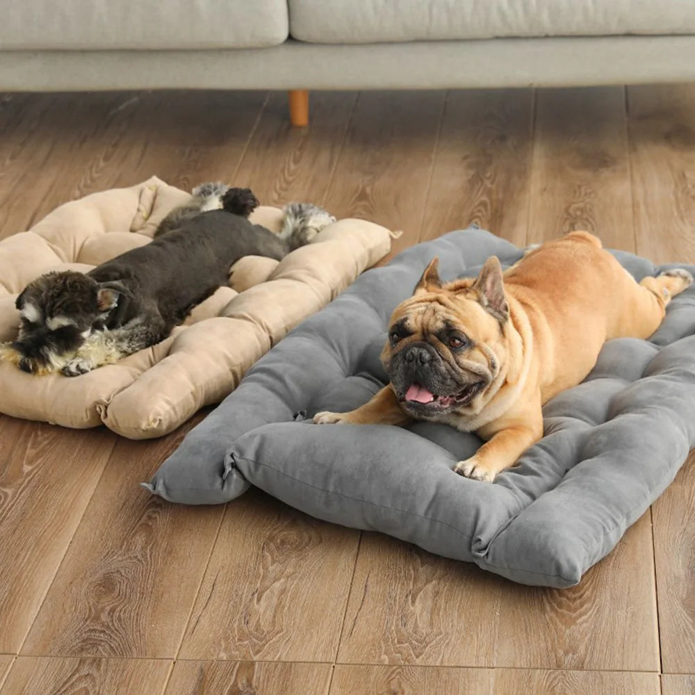 WarmDog 3-in-1 Bed – Warmth, Comfort & Joy for Your Pet