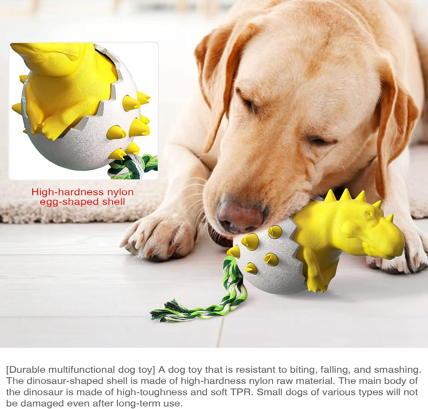 DinoEgg – The Indestructible Chew Egg for Healthy Dog Teeth
