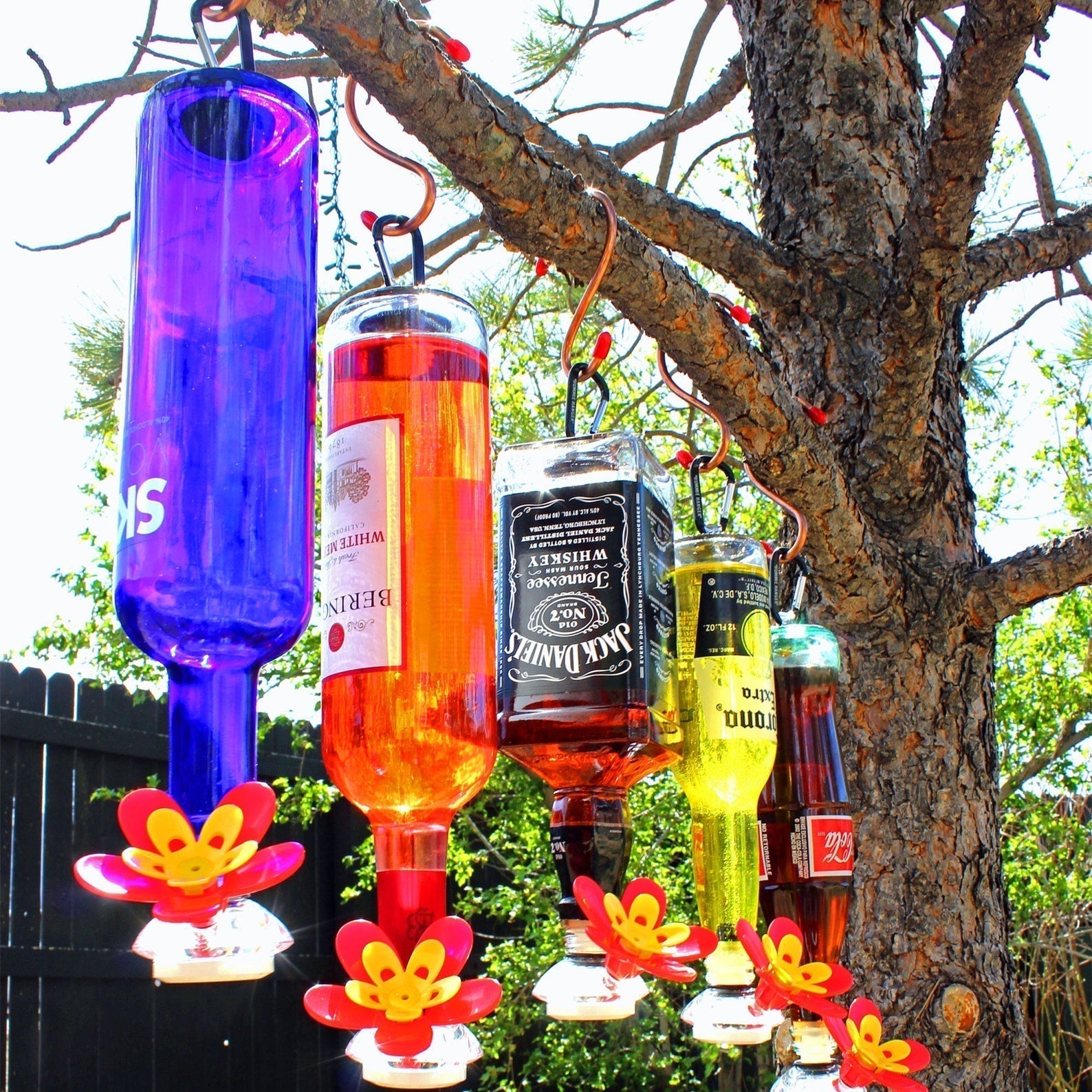 BloomSip – The Smart Bar for Hummingbirds!