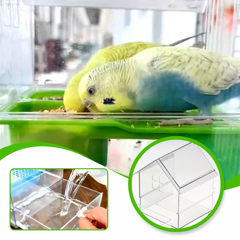 ClearFeast Bird – Clean feeding without feeding chaos
