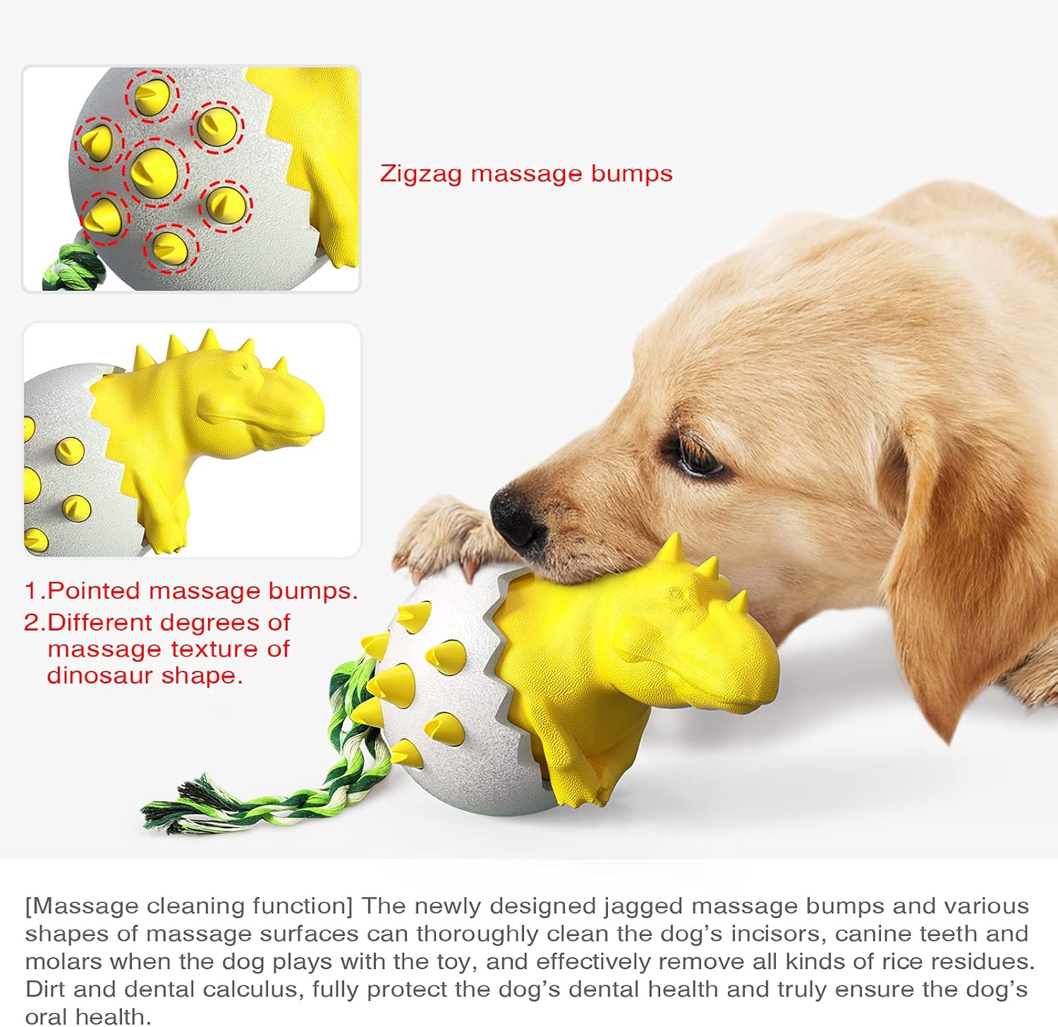 DinoEgg – The Indestructible Chew Egg for Healthy Dog Teeth