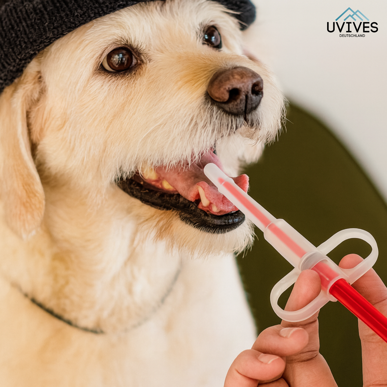 1+1 FREE | PetFeeder Pro – Stress-Free Medication Administration for Pets!