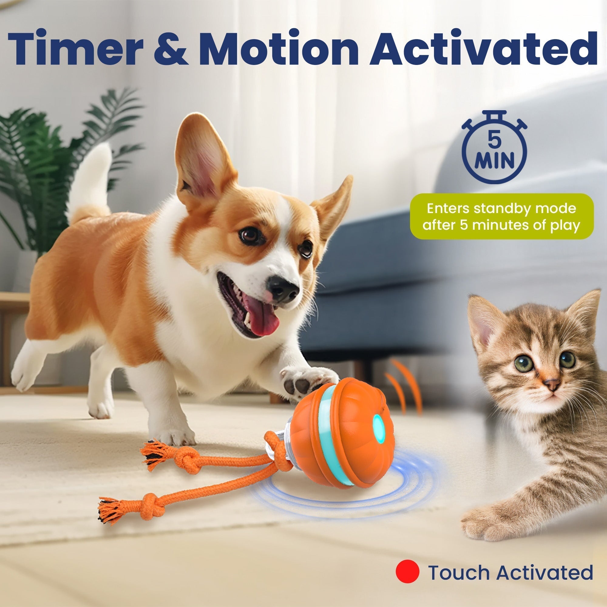 PawiBall – Finally a happy & fulfilled dog!