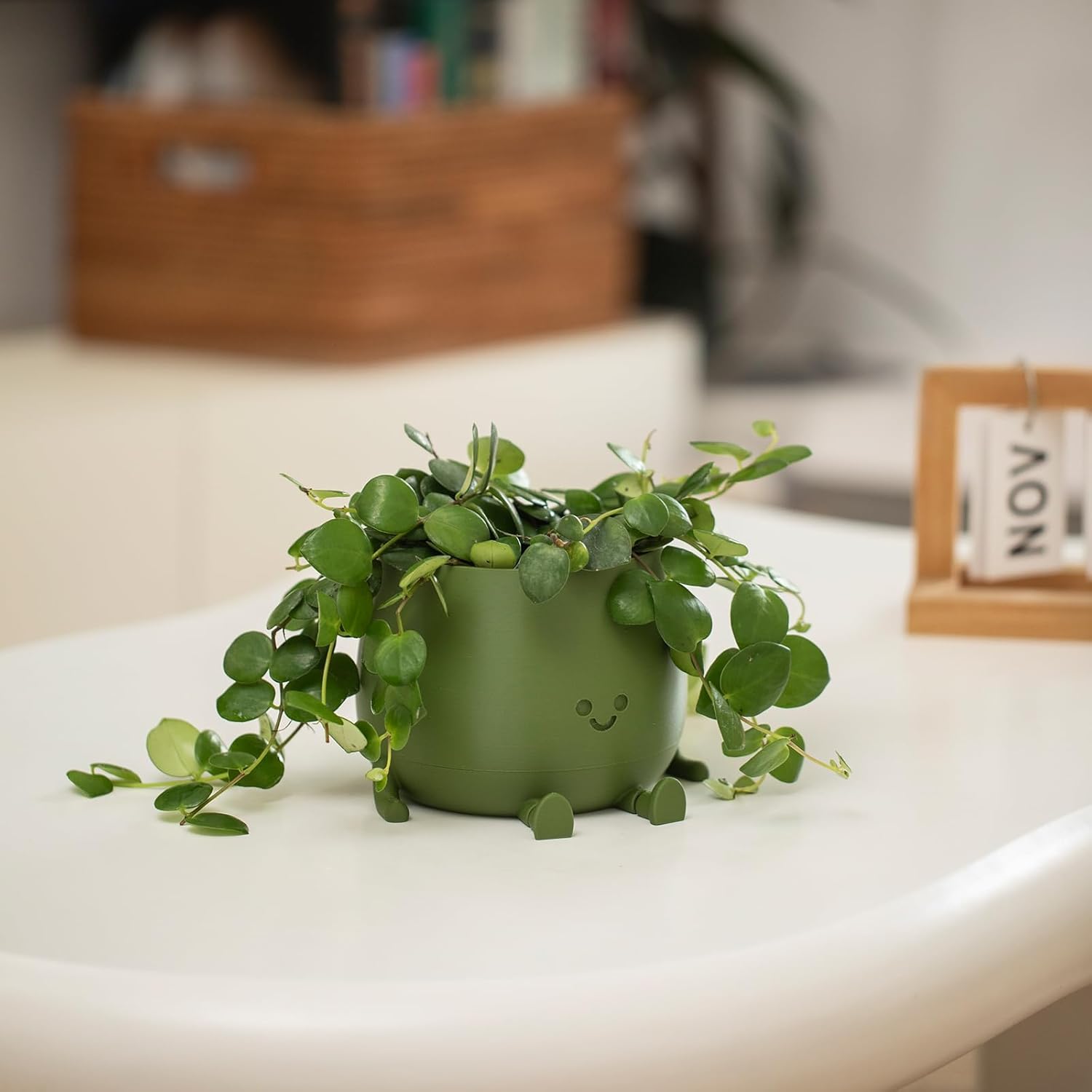 BloomBuddy – Smiling Plants, Happy Home