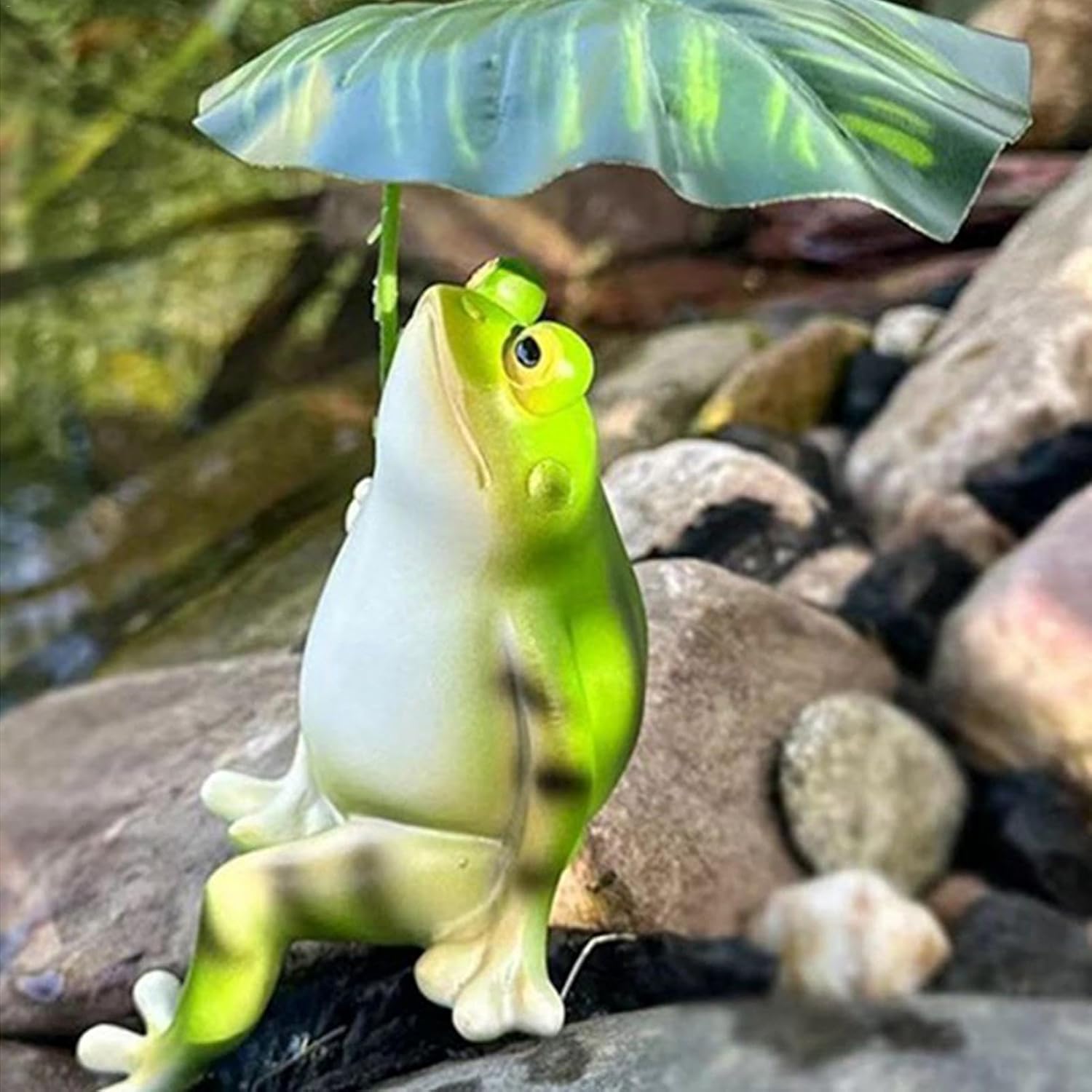 FrogZen – The little frog that brings calm and joy