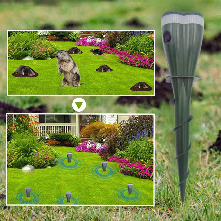 1 + 1 FREE | VibraGreen – Peace for Your Garden