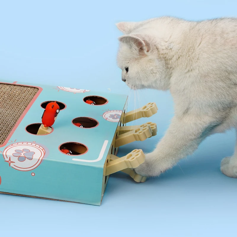 ScratchNest – Scratch, Play & Relax in One!