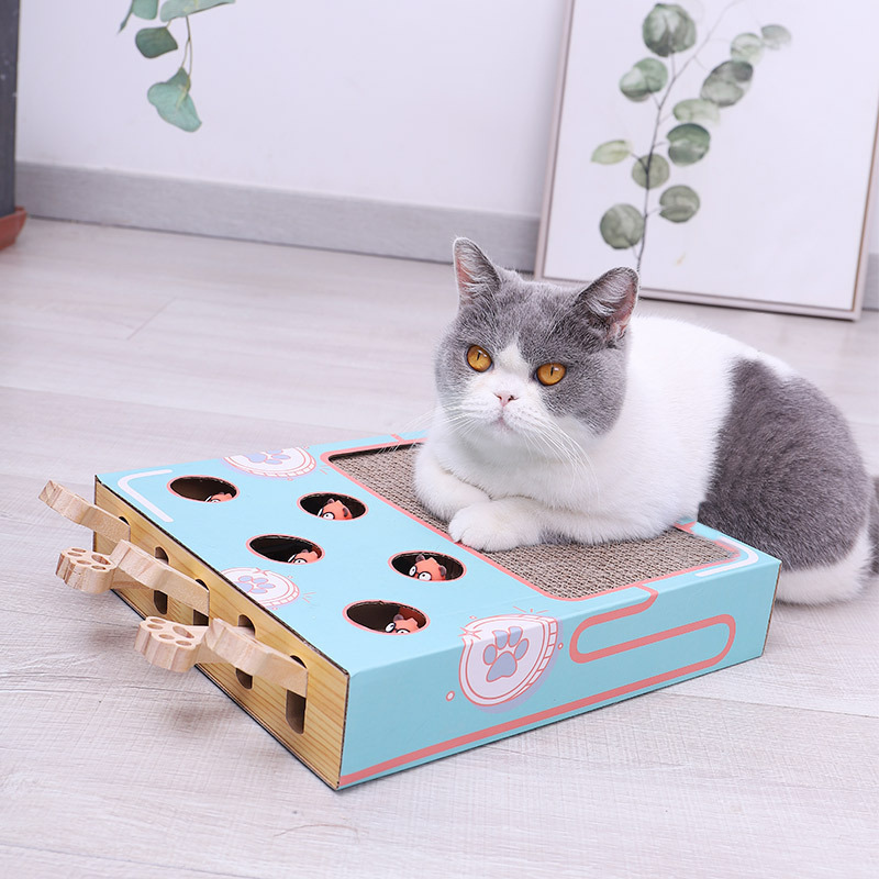 ScratchNest – Scratch, Play & Relax in One!