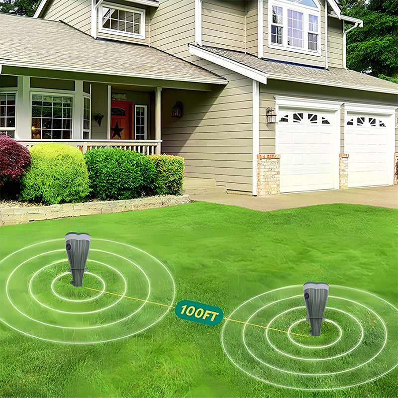 1 + 1 FREE | VibraGreen – Peace for Your Garden