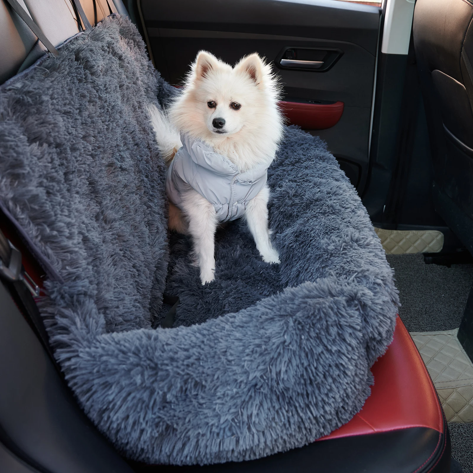 CarPaw – Travel Safely & Relaxed with Your Dog!