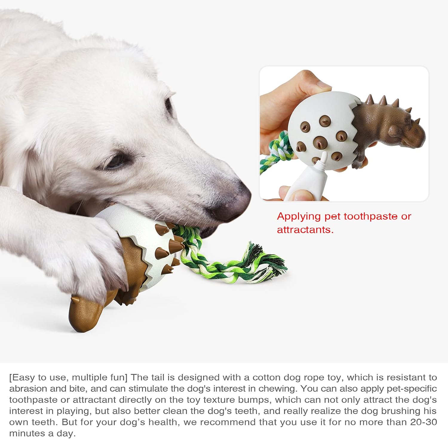 DinoEgg – The Indestructible Chew Egg for Healthy Dog Teeth