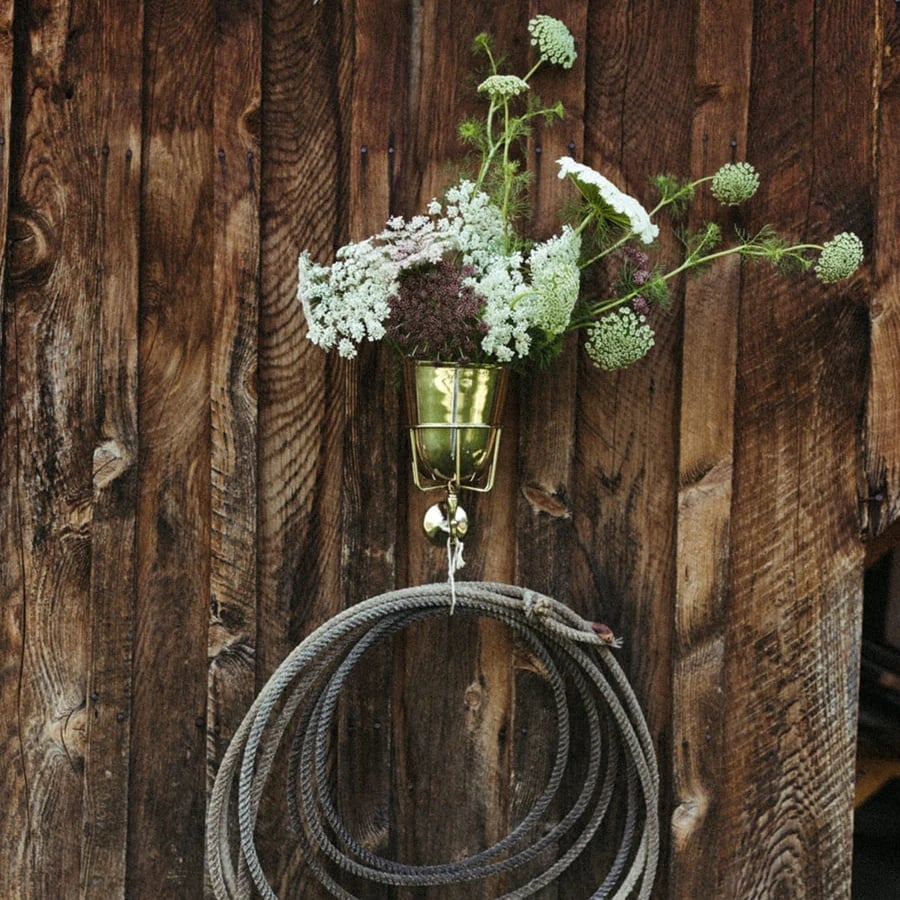 Holdify – The Stylish Wall Vessel for Every Room