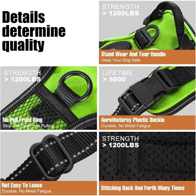 PawGuard – Safe & Stylish Dog Walking!
